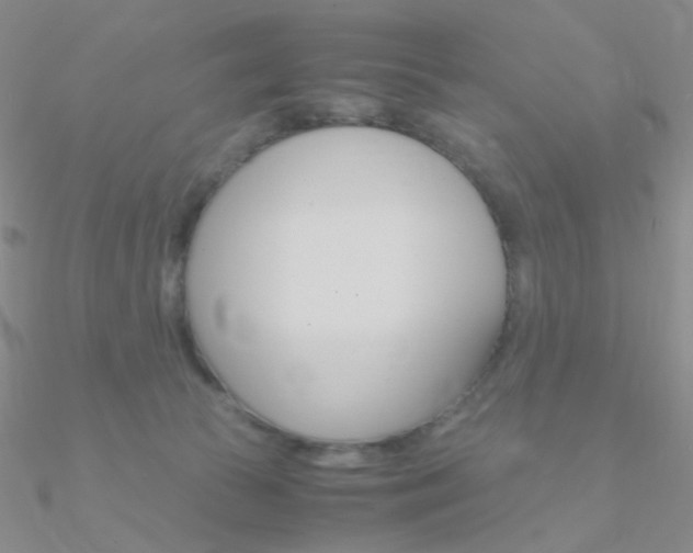 X0000090960177200708021129