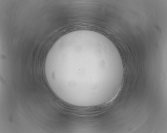 X0000090960178200708021129
