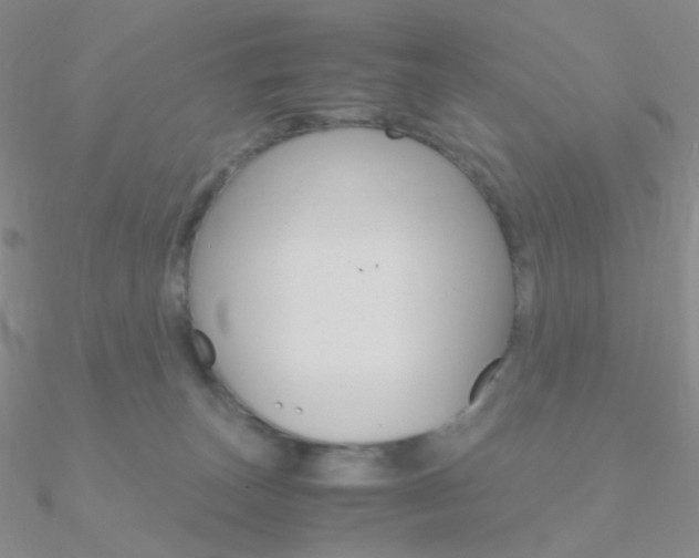X0000090960179200708021129