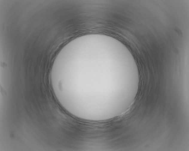 X0000090960180200708021129