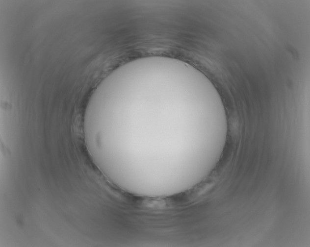 X0000090960181200708021129