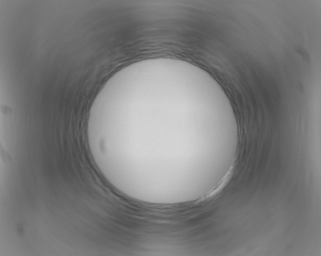 X0000090960182200708021129
