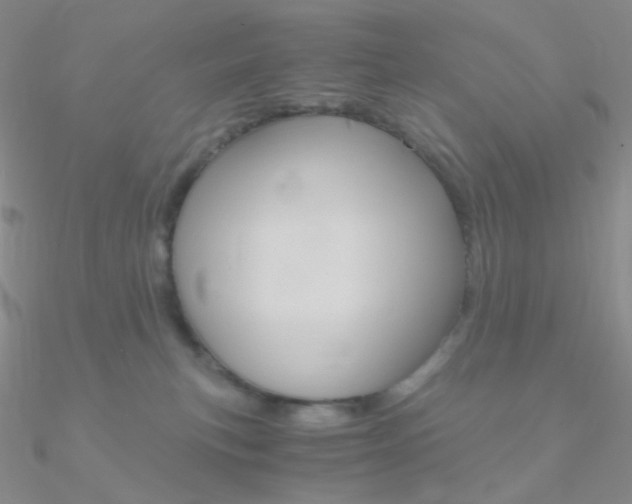 X0000090960183200708021129