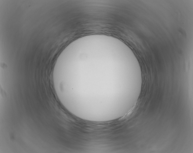 X0000090960184200708021129