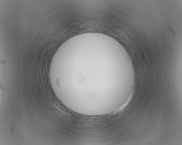 X0000090960186200708021129