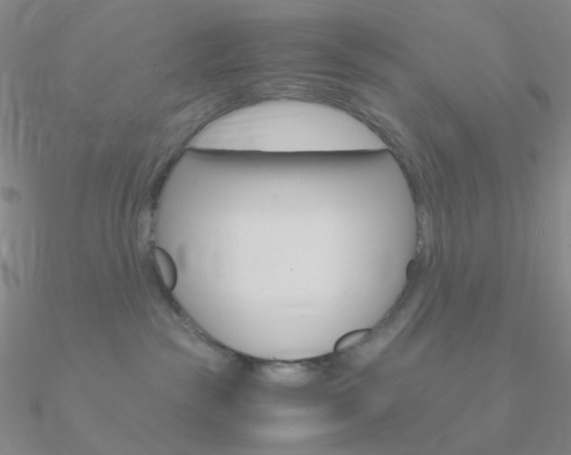 X0000090960189200708021129