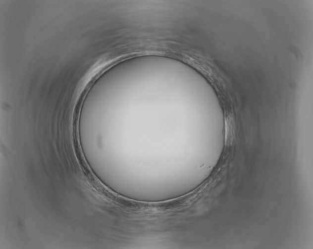 X0000090960195200708021128