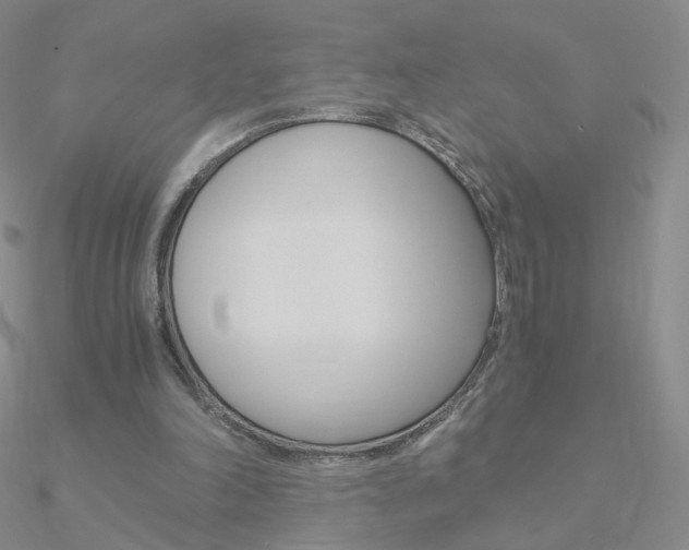 X0000090960198200708021128
