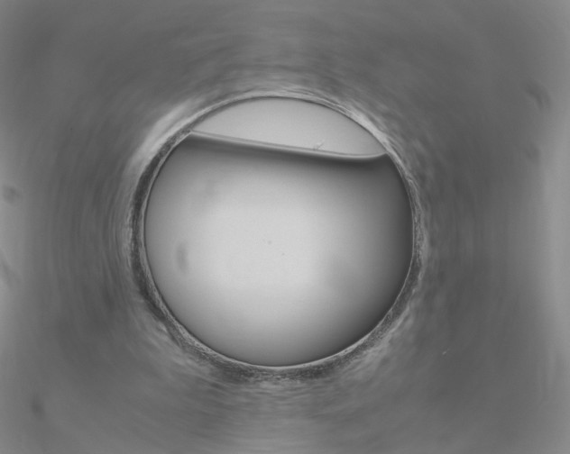 X0000090960199200708021128