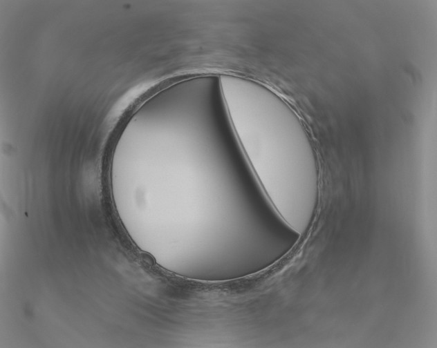 X0000090960200200708021128