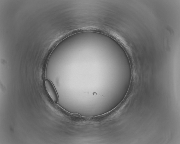 X0000090960201200708021128