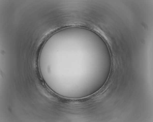 X0000090960203200708021128