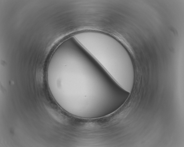 X0000090960204200708021128