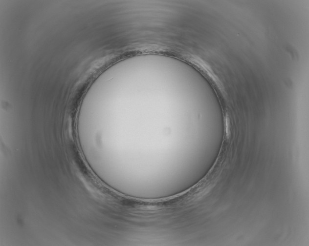 X0000090960205200708021128