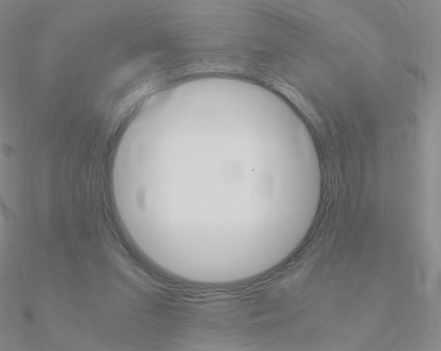 X0000090960207200708021128