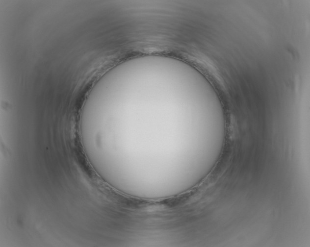 X0000090960210200708021128