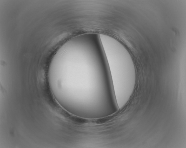 X0000090960211200708021128