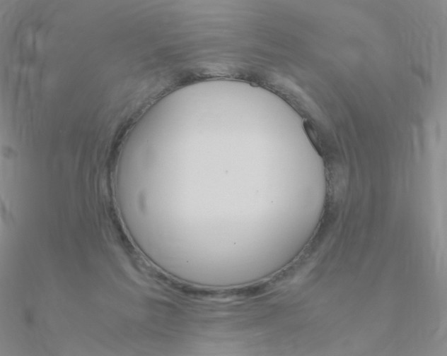 X0000090960213200708021128