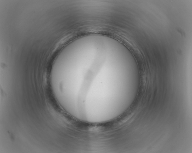 X0000090960216200708021128