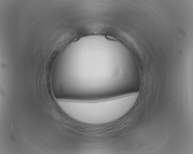 X0000090960217200708021128