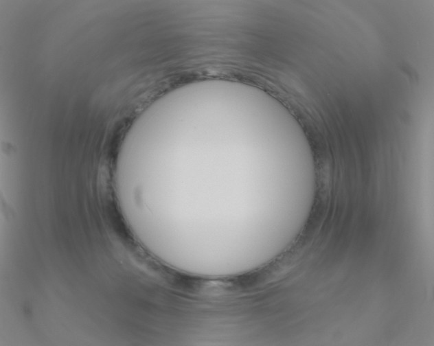 X0000090960222200708021128