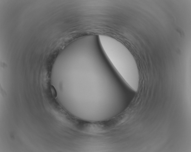 X0000090960223200708021128