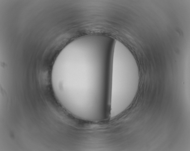 X0000090960224200708021128