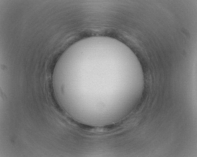X0000090960225200708021128