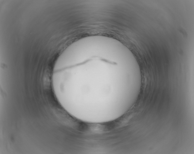 X0000090960226200708021128