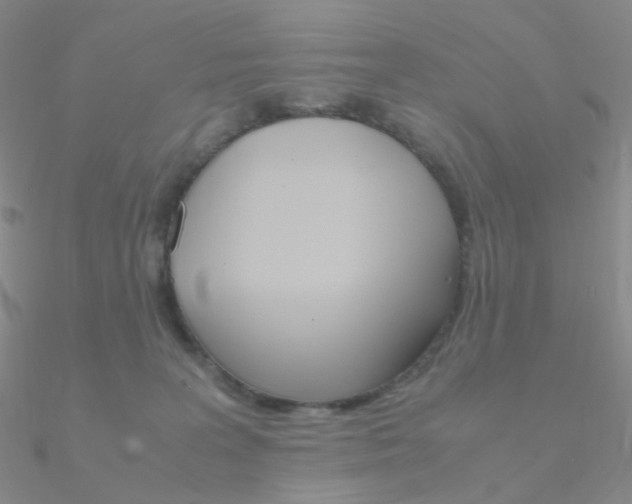 X0000090960227200708021128