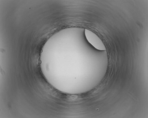 X0000090960230200708021128