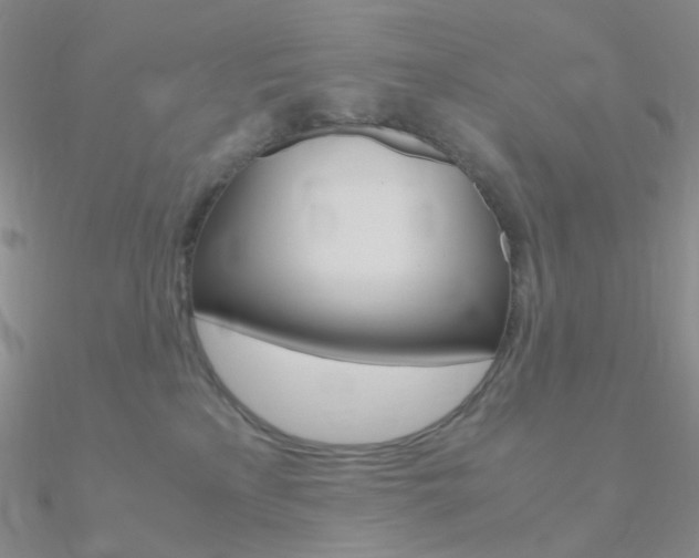 X0000090960233200708021128