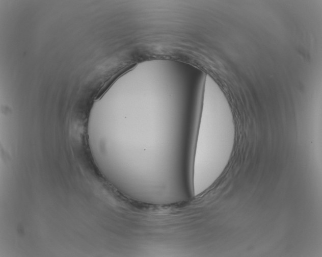X0000090960235200708021128