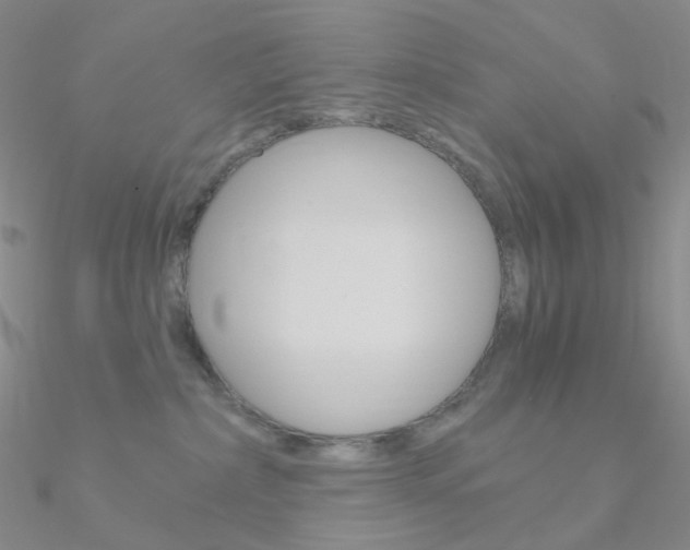 X0000090960236200708021128