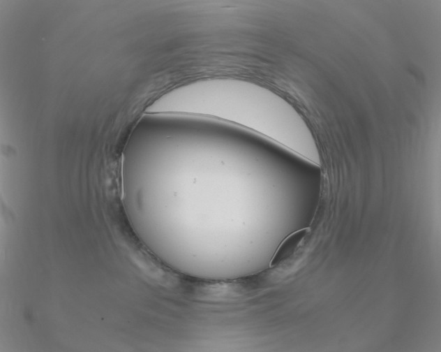 X0000090960237200708021128