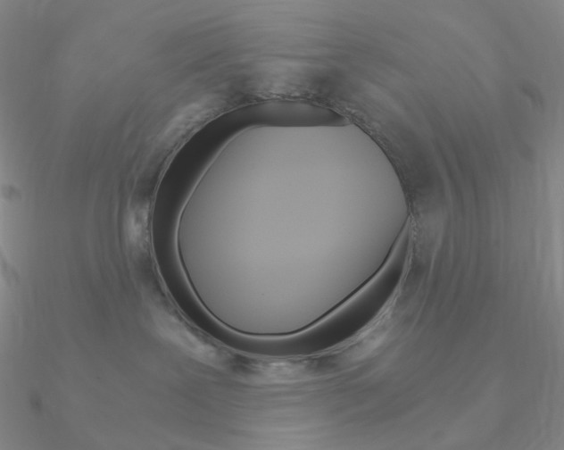 X0000090960239200708021128