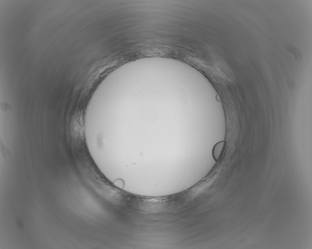 X0000090960240200708021128
