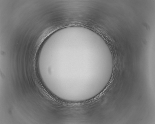 X0000090960242200708021127