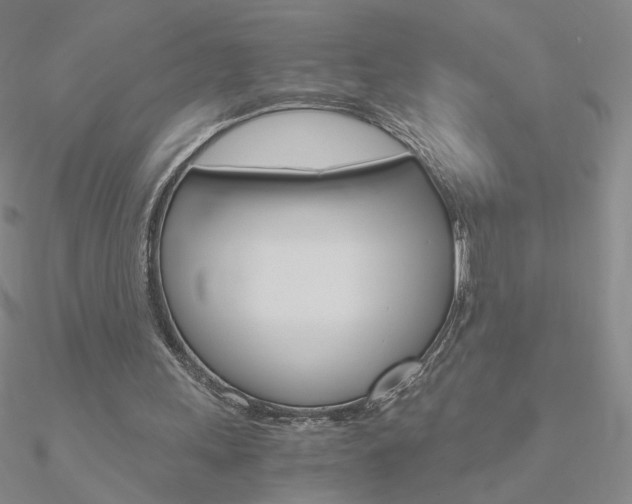 X0000090960243200708021127