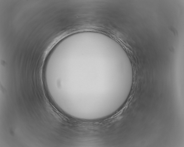 X0000090960244200708021127