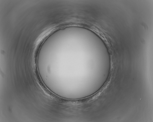 X0000090960245200708021127