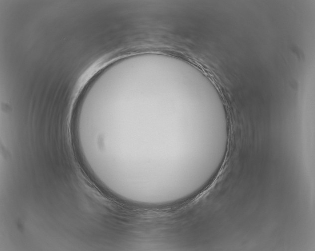 X0000090960246200708021127