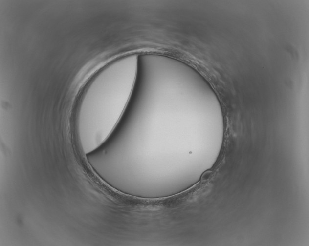 X0000090960247200708021127
