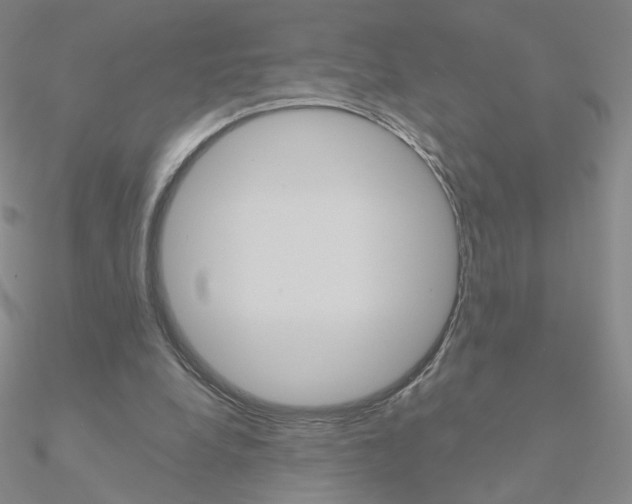 X0000090960248200708021127