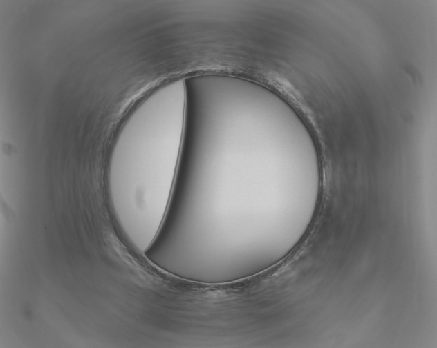 X0000090960249200708021127