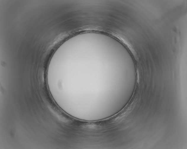 X0000090960253200708021127