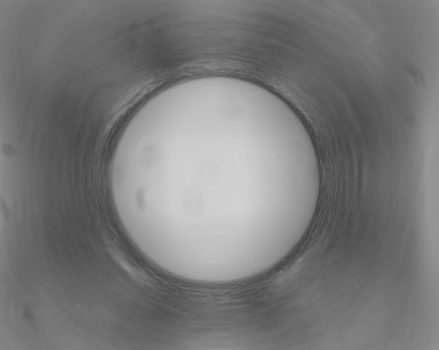 X0000090960254200708021127