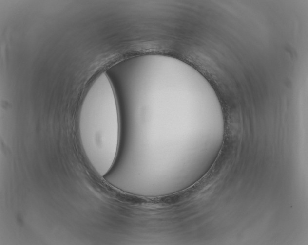 X0000090960255200708021127