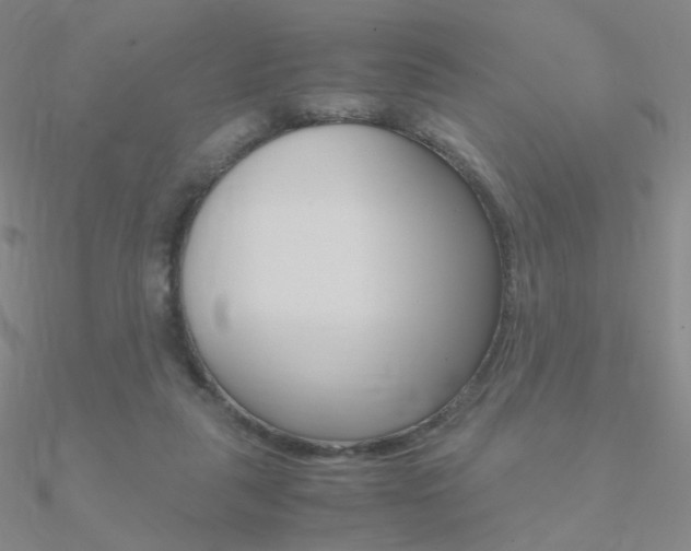 X0000090960259200708021127