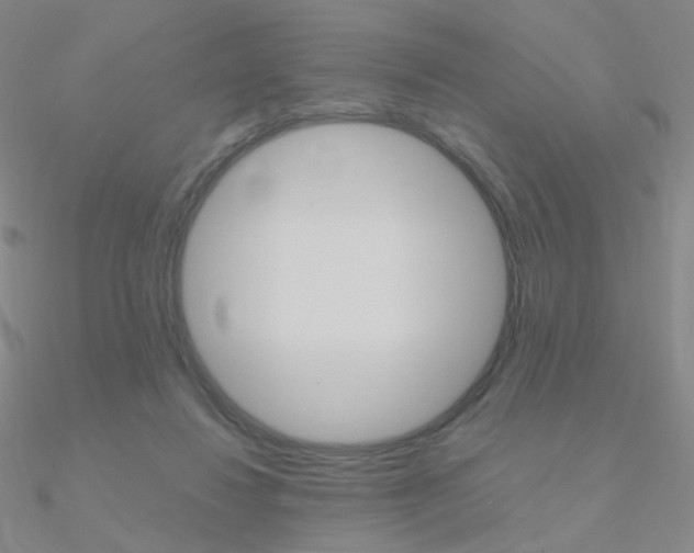 X0000090960260200708021127